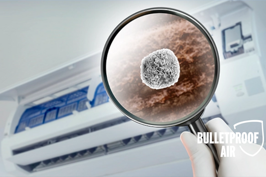 Reducing Allergens in Your Home with the Right HVAC Setup