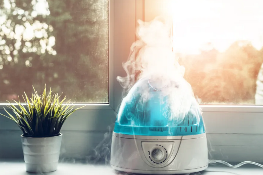 Why Humidifiers and Dehumidifiers Matter in Florida