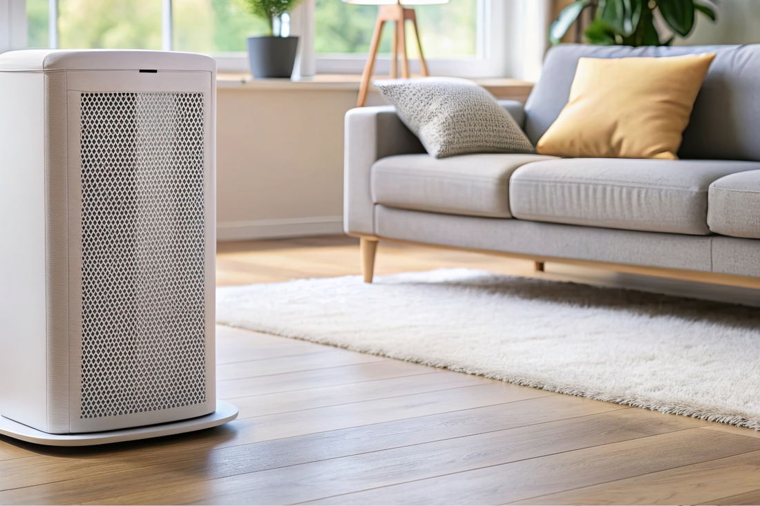 Improving Air Quality During Sarasota Allergy Season