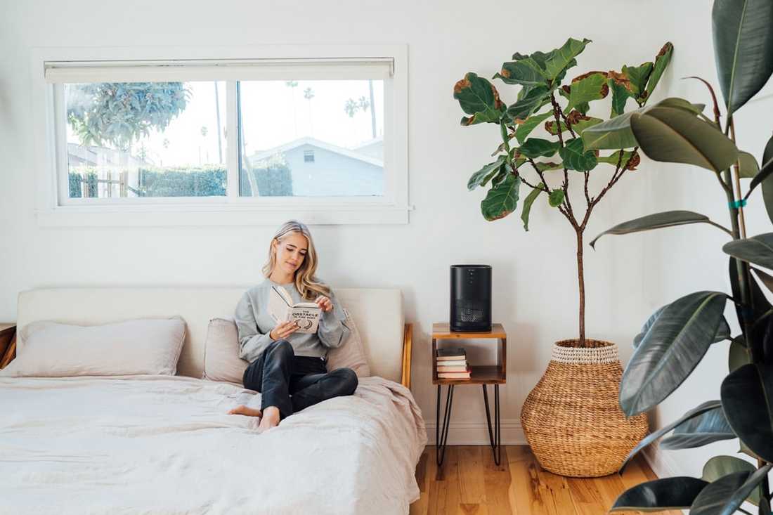 Best Indoor Air Quality Solutions for Sarasota Homes