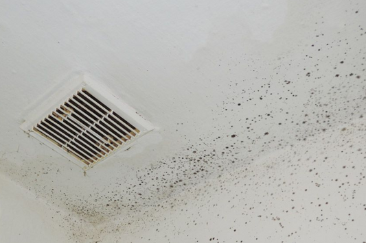 Mold in Your Ducts? Here’s What to Do